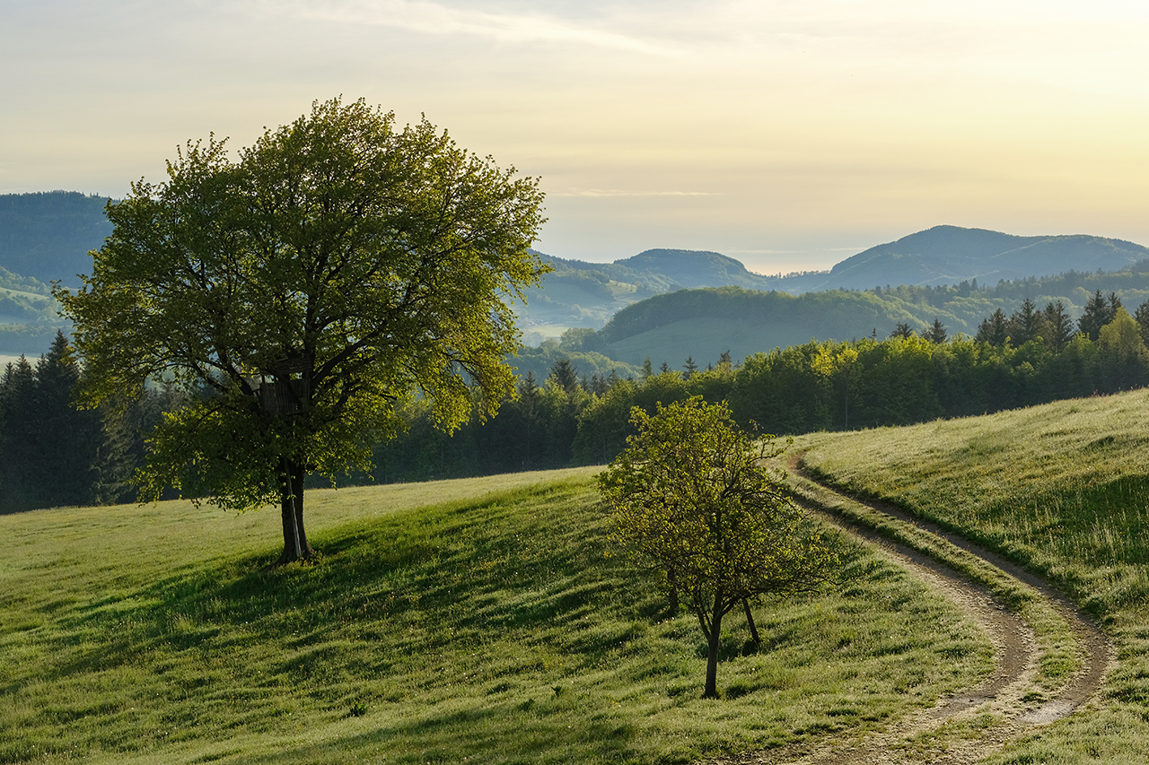 01_Mai_Der Hochsitz