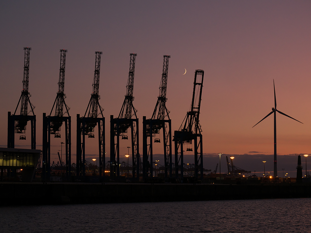 03_08_Hamburg_Hafen_Cruise Center Steinwerder_01.jpg