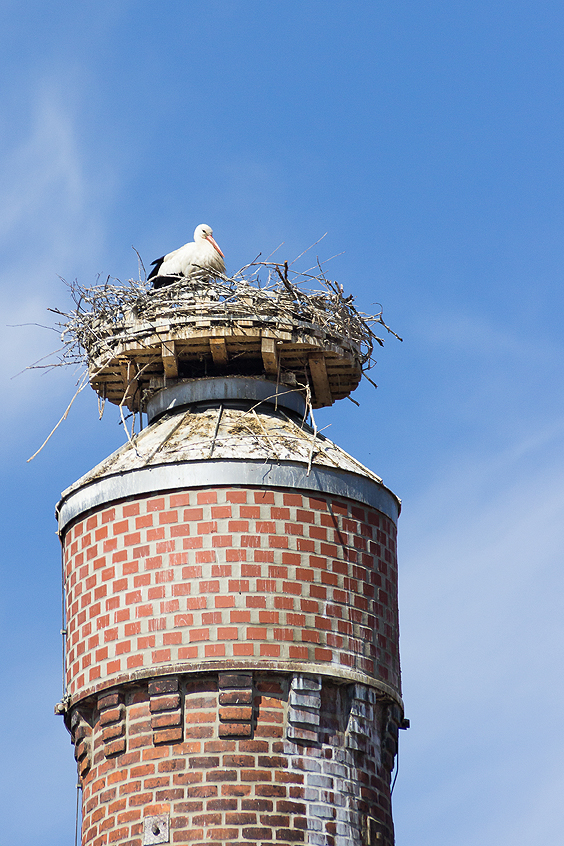 05 - 2 Storchenturm