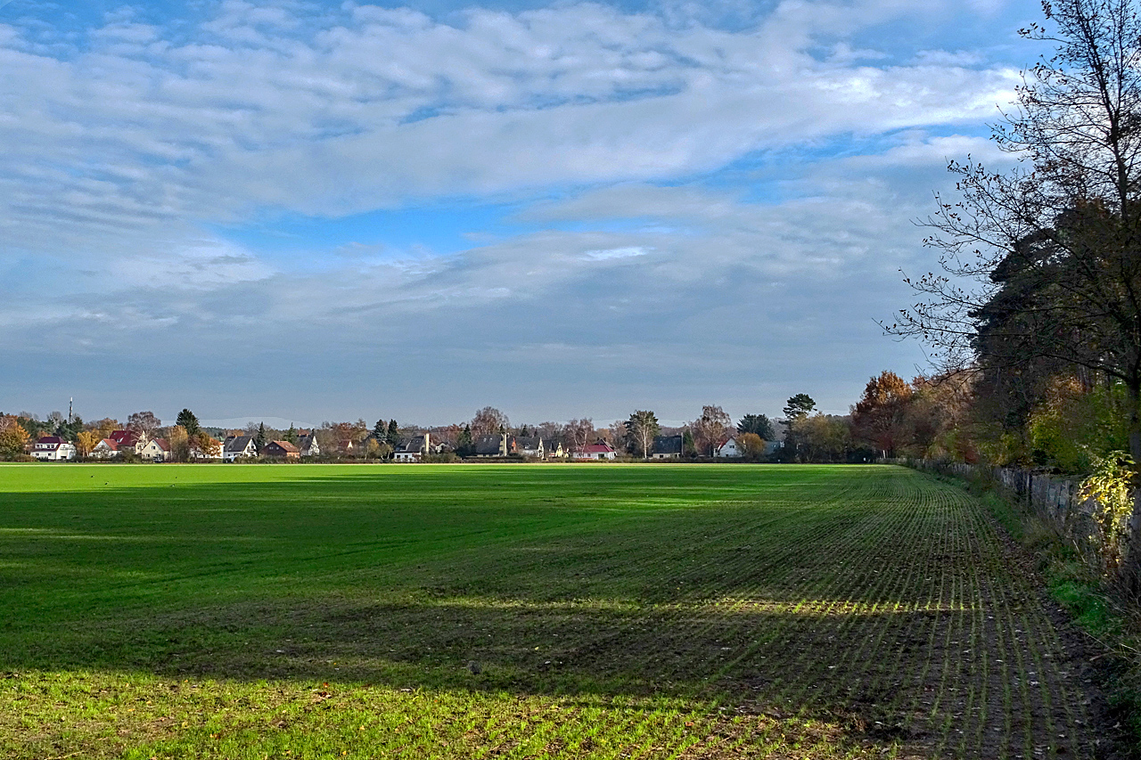 11_Feld in Heiligensee - November.jpg