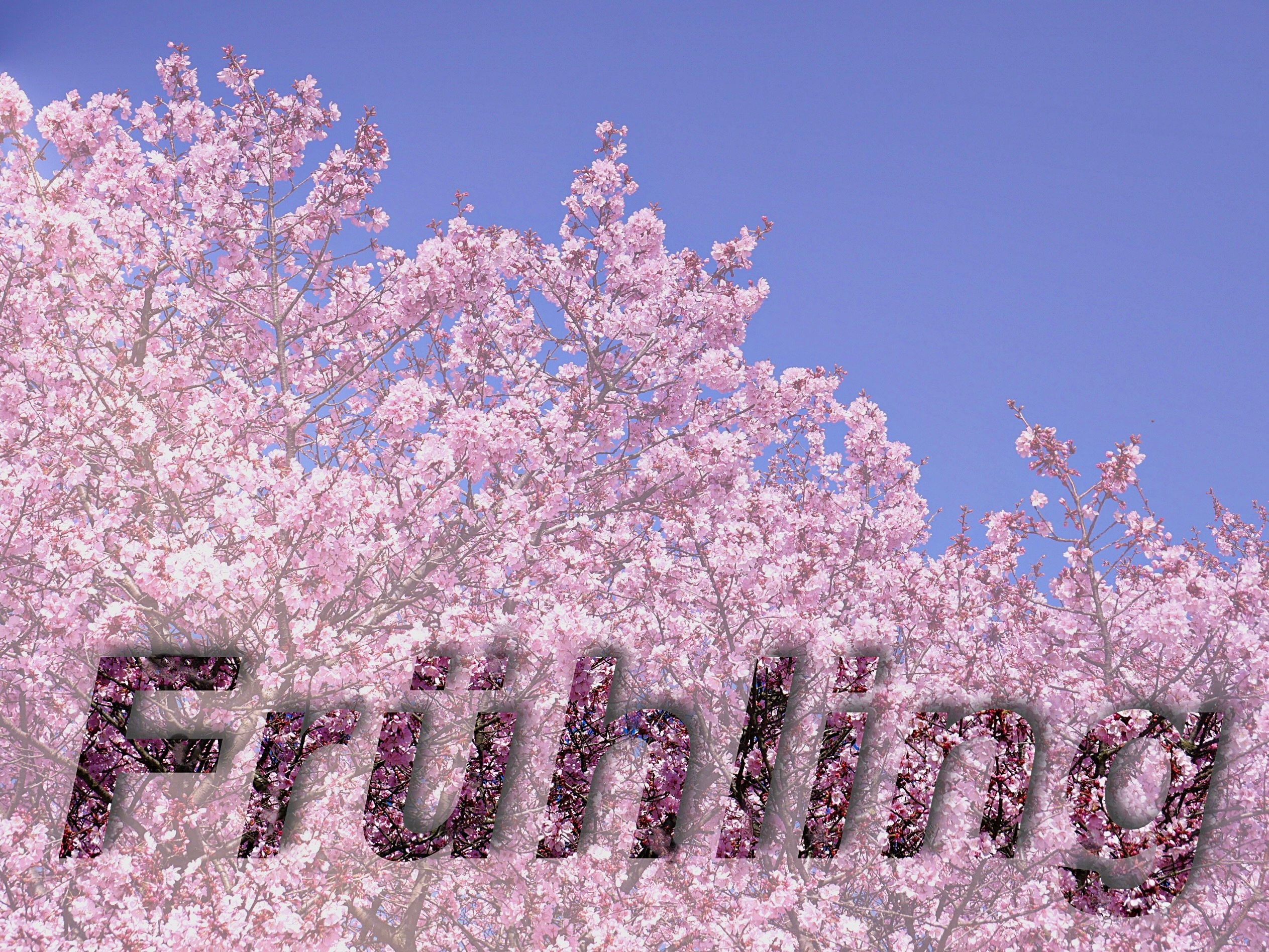 ... 20.3.2026, 15:46 Uhr MEZ = astronomischer Frühlingsbeginn