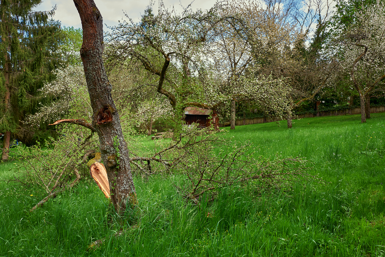 2021-05 Blick über den Gartenzaun