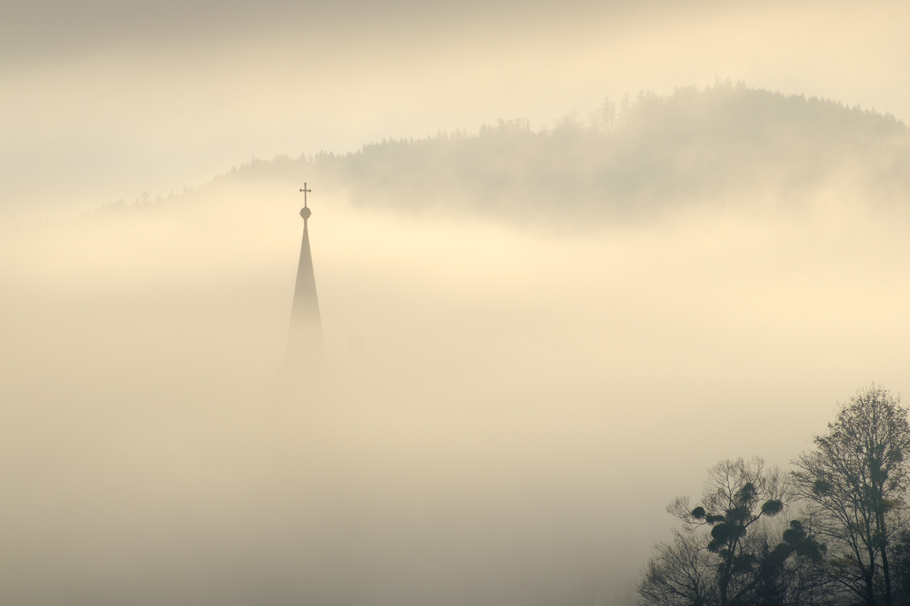 2022_11_aus dem Nebel