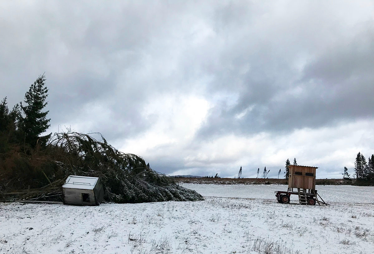 21. Feb. nach dem Sturm...