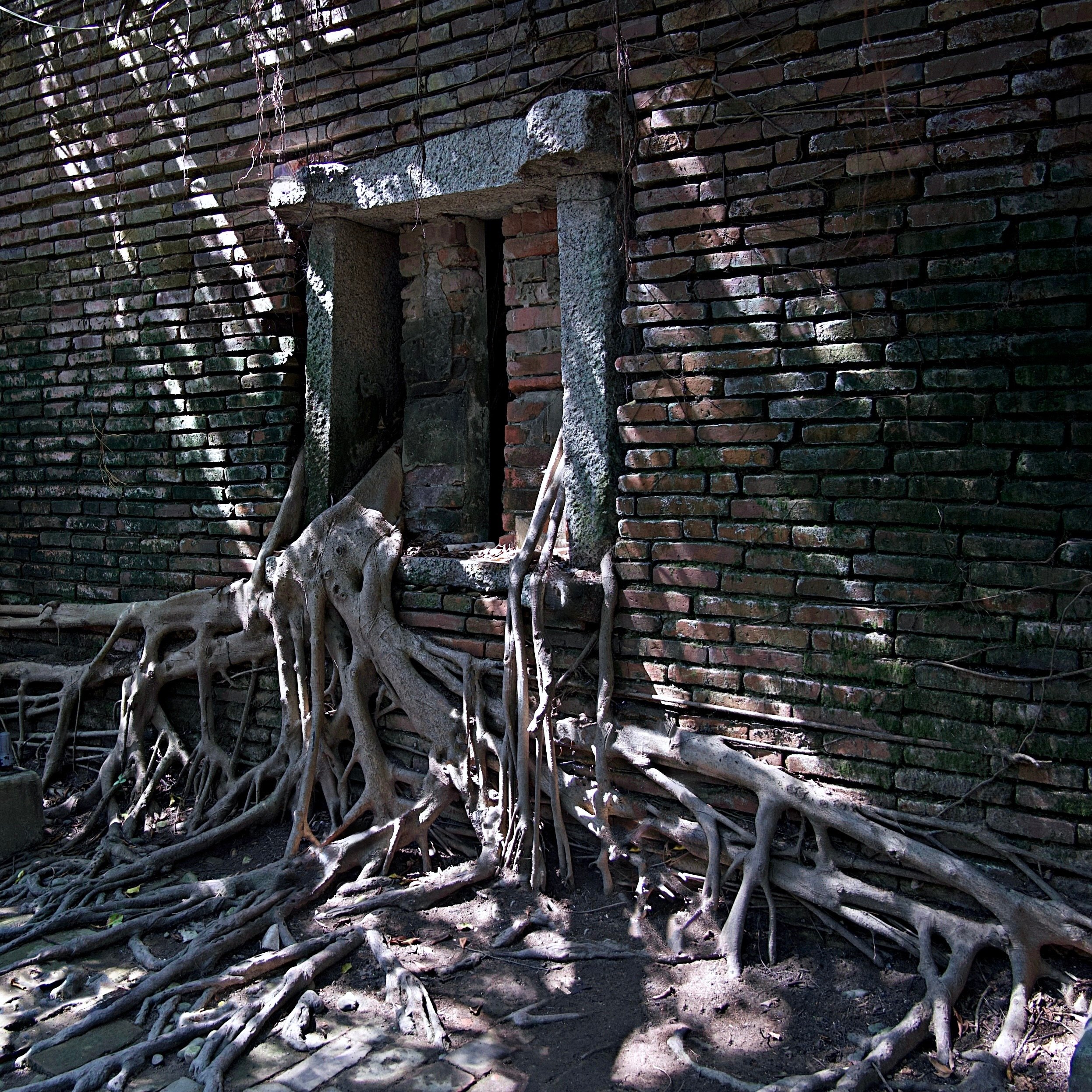 ... #3 lost place -  'durchsetzungsfähig'