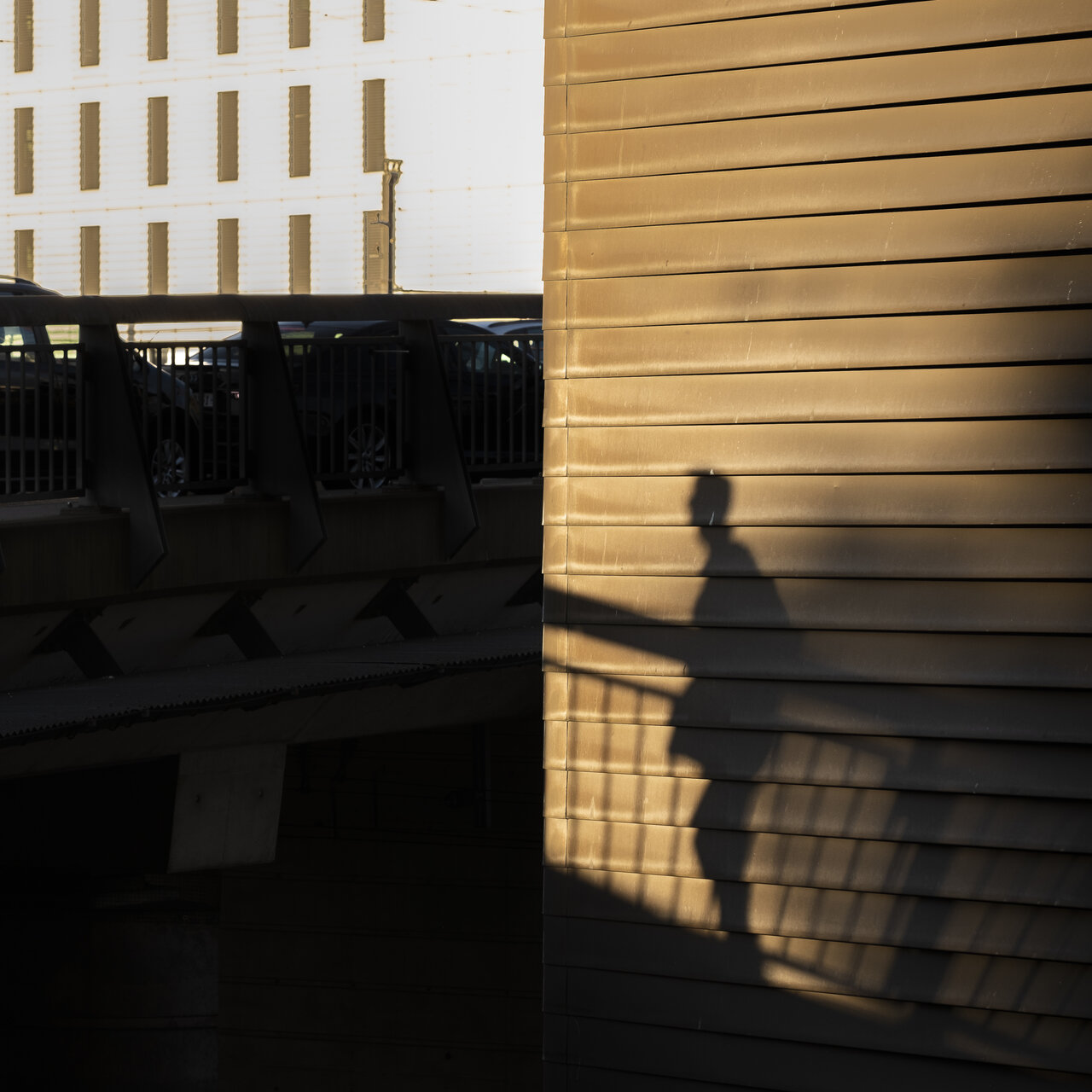 3275E015-4FA3-4375-9B74-7F512A451192.jpeg