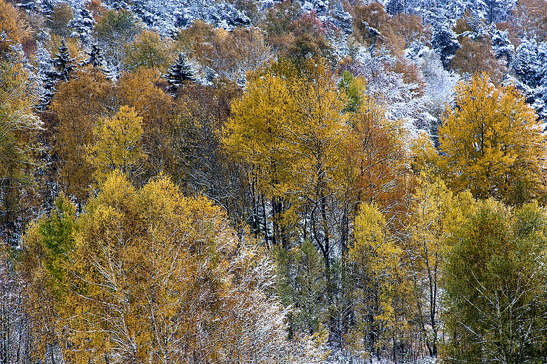 _ frueher_schnee.jpg