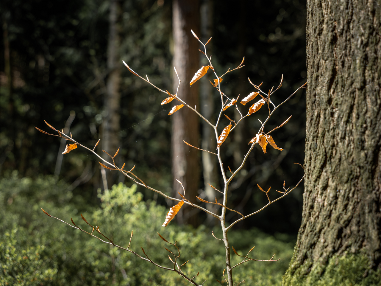 _A742261-HDR-Marika_Alt und Jung.jpg