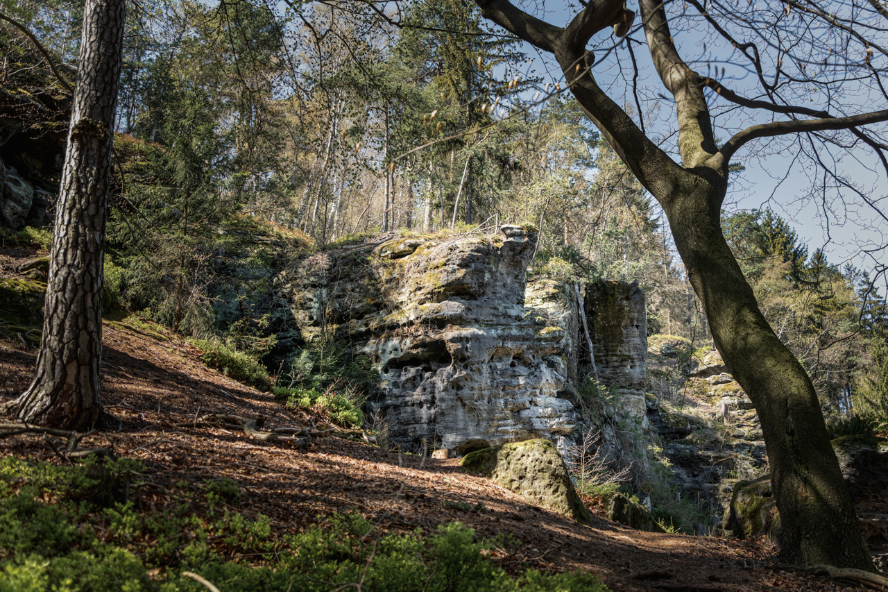 _A742309-HDR-Marika_Gerahmt.jpg