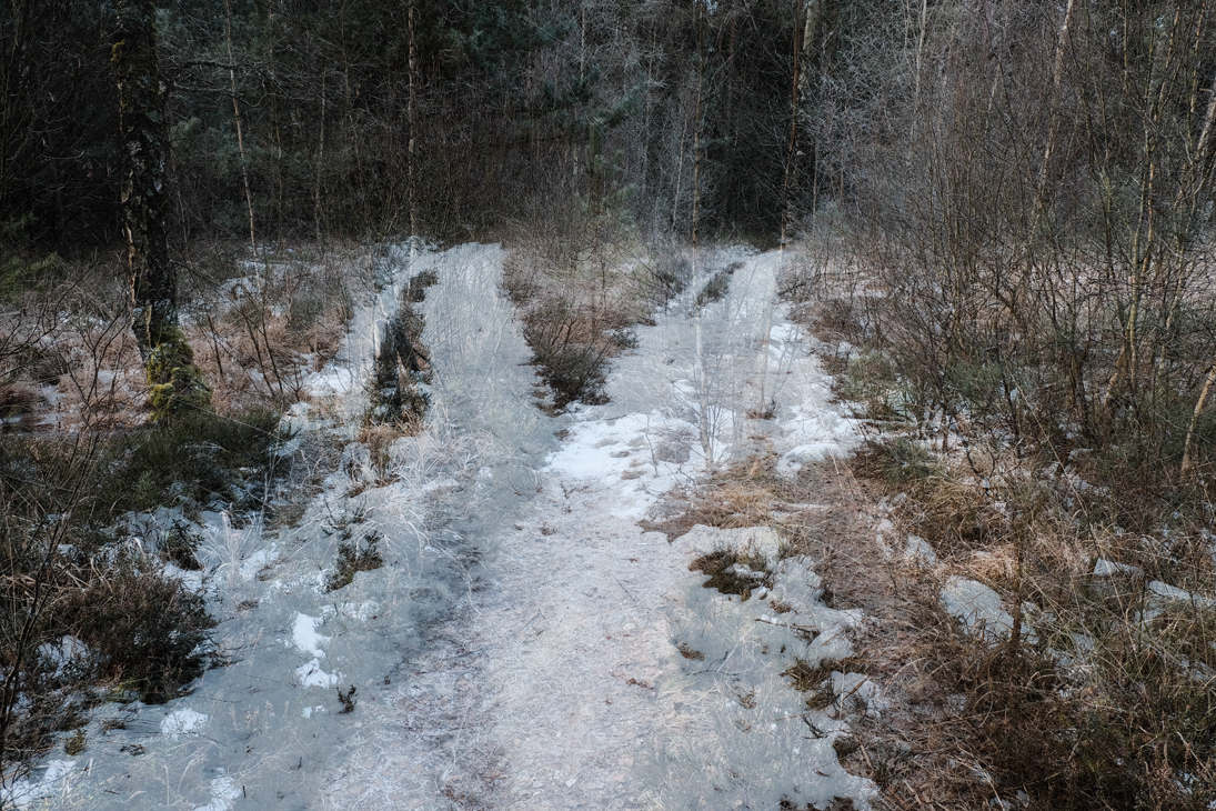 _am_scheideweg.jpg