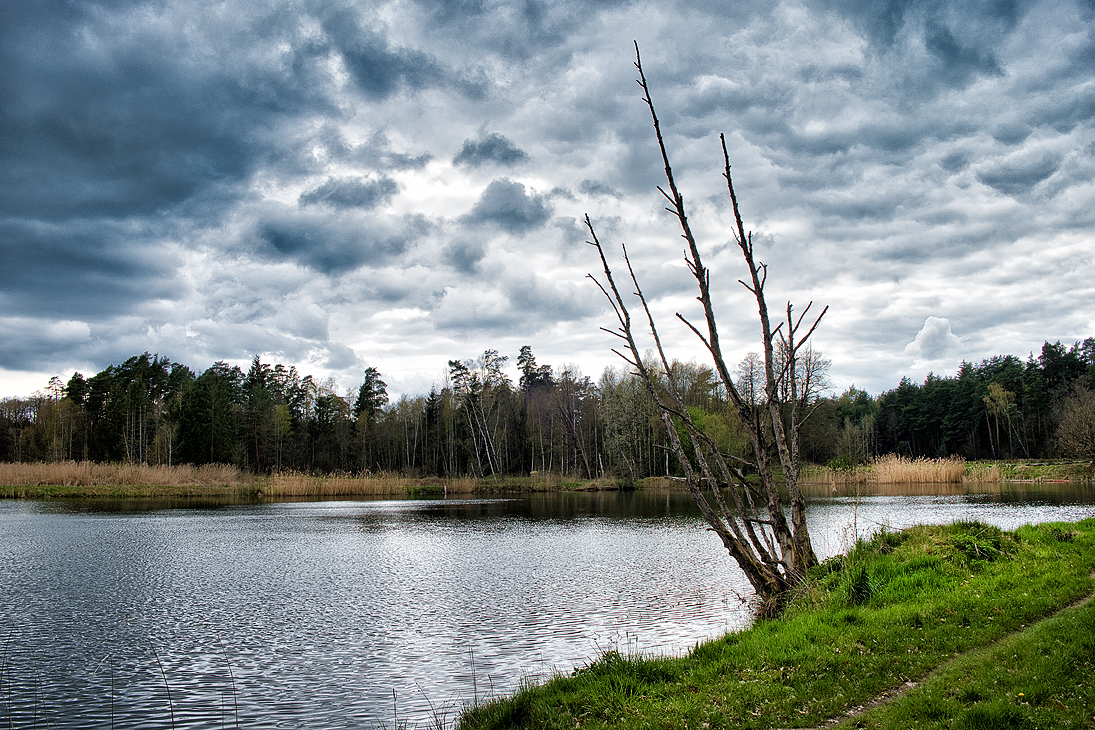 _am_weiher.jpg
