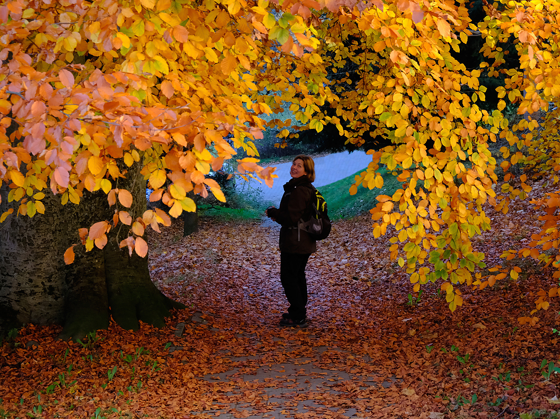 _goldener_oktober.jpg