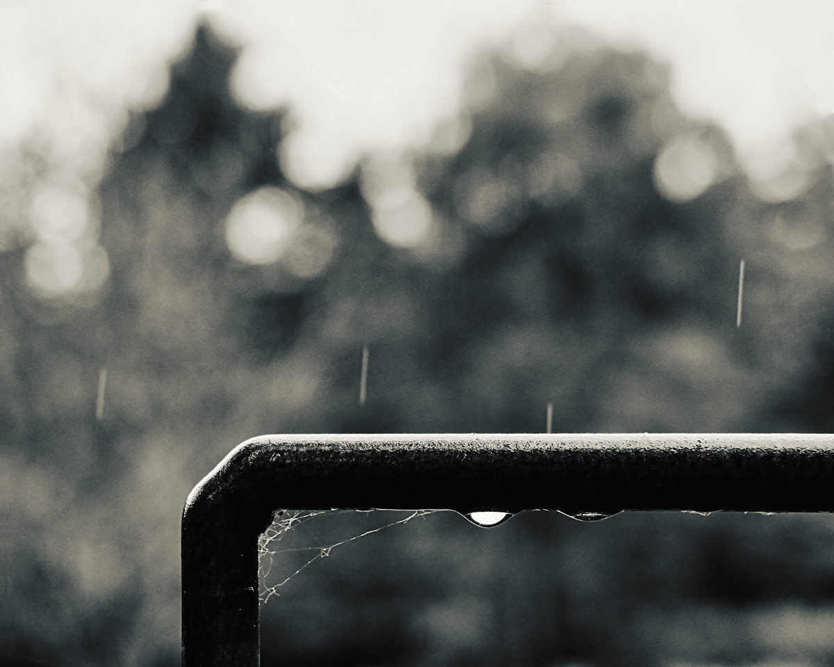 _im_regen.jpg