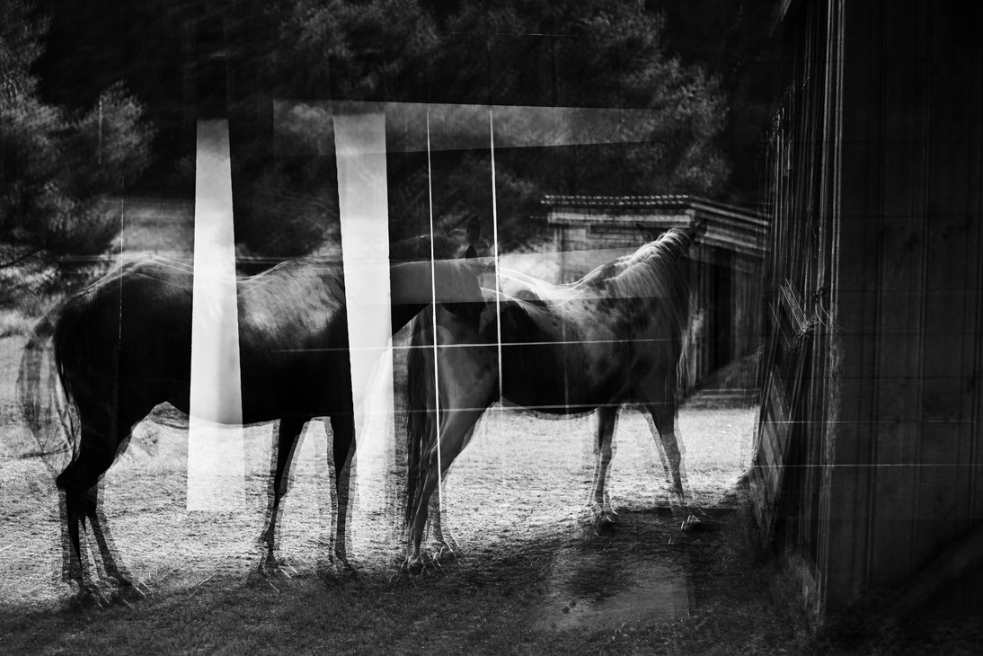 _luna_und_ crazy_2.jpg