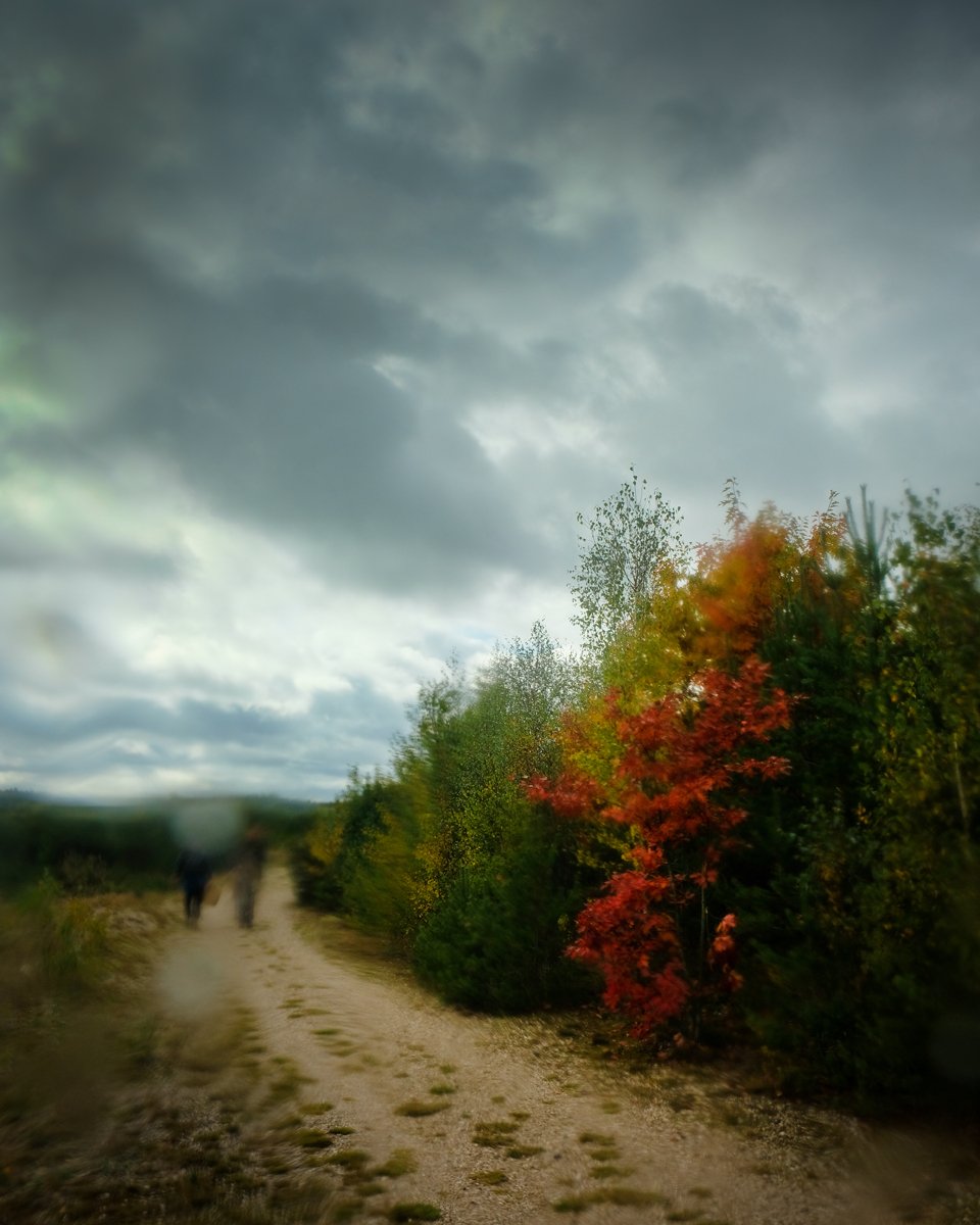 _nasse exkursion..jpg