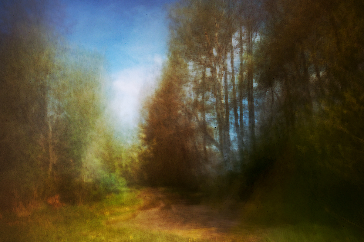 _waldspaziergang.jpg