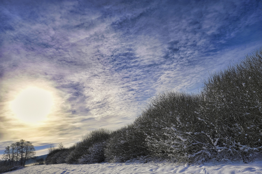 _winterlandschaft.jpg