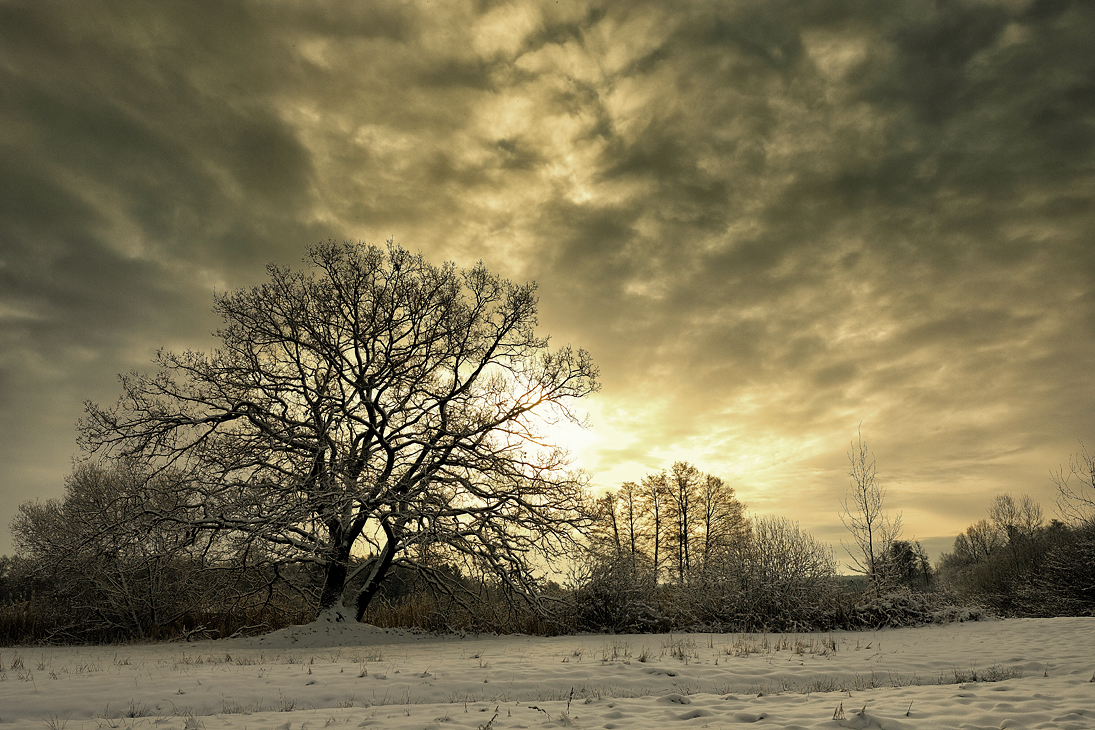 _wintermorgen.jpg