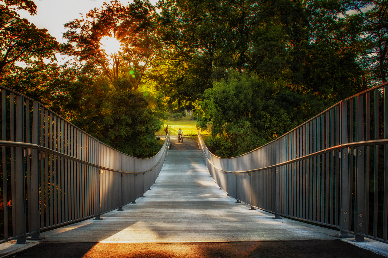 A Walk In The Park