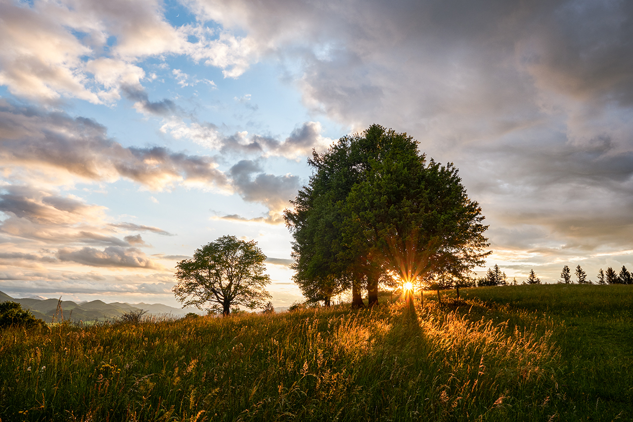 Abendlicht