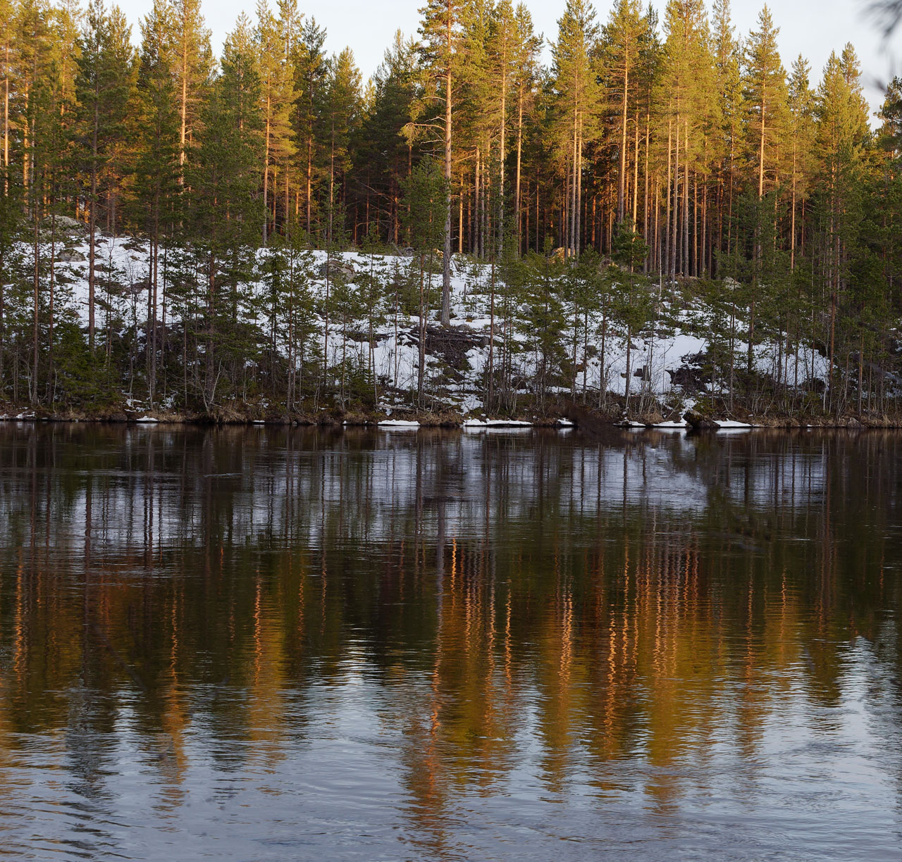 Abendröte