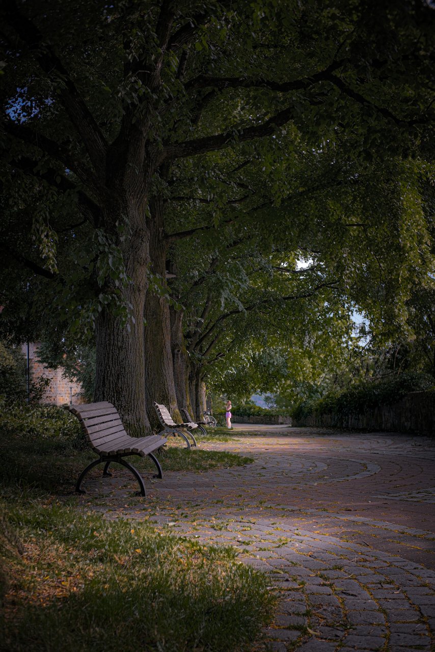 Abends im Park