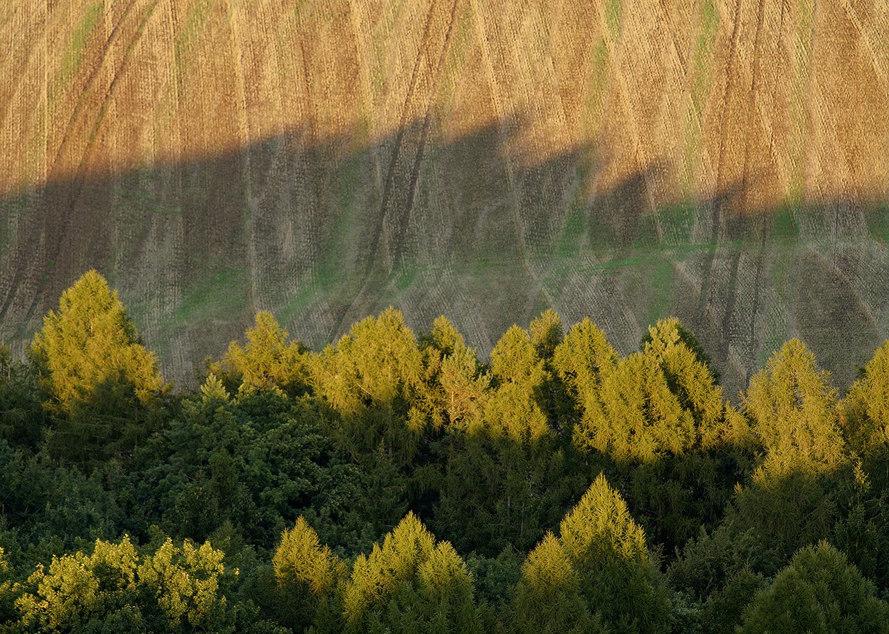 Abendsonne