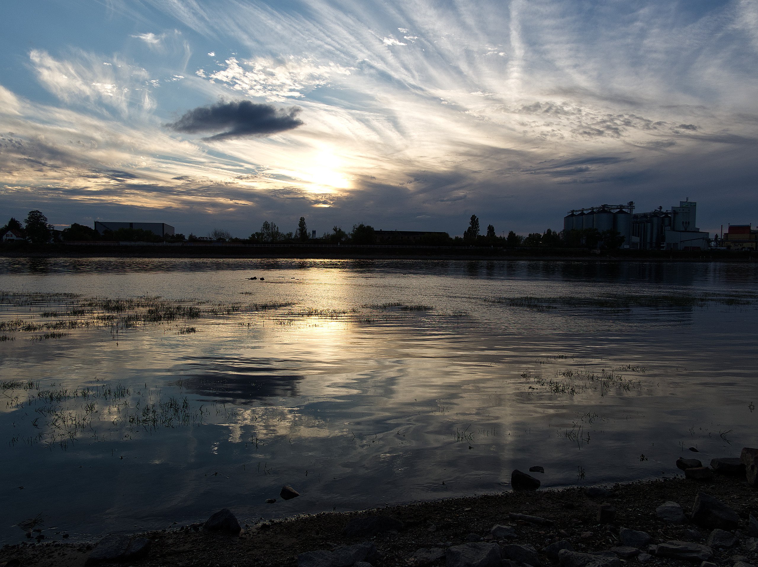 Abendstimmung am Rhein I