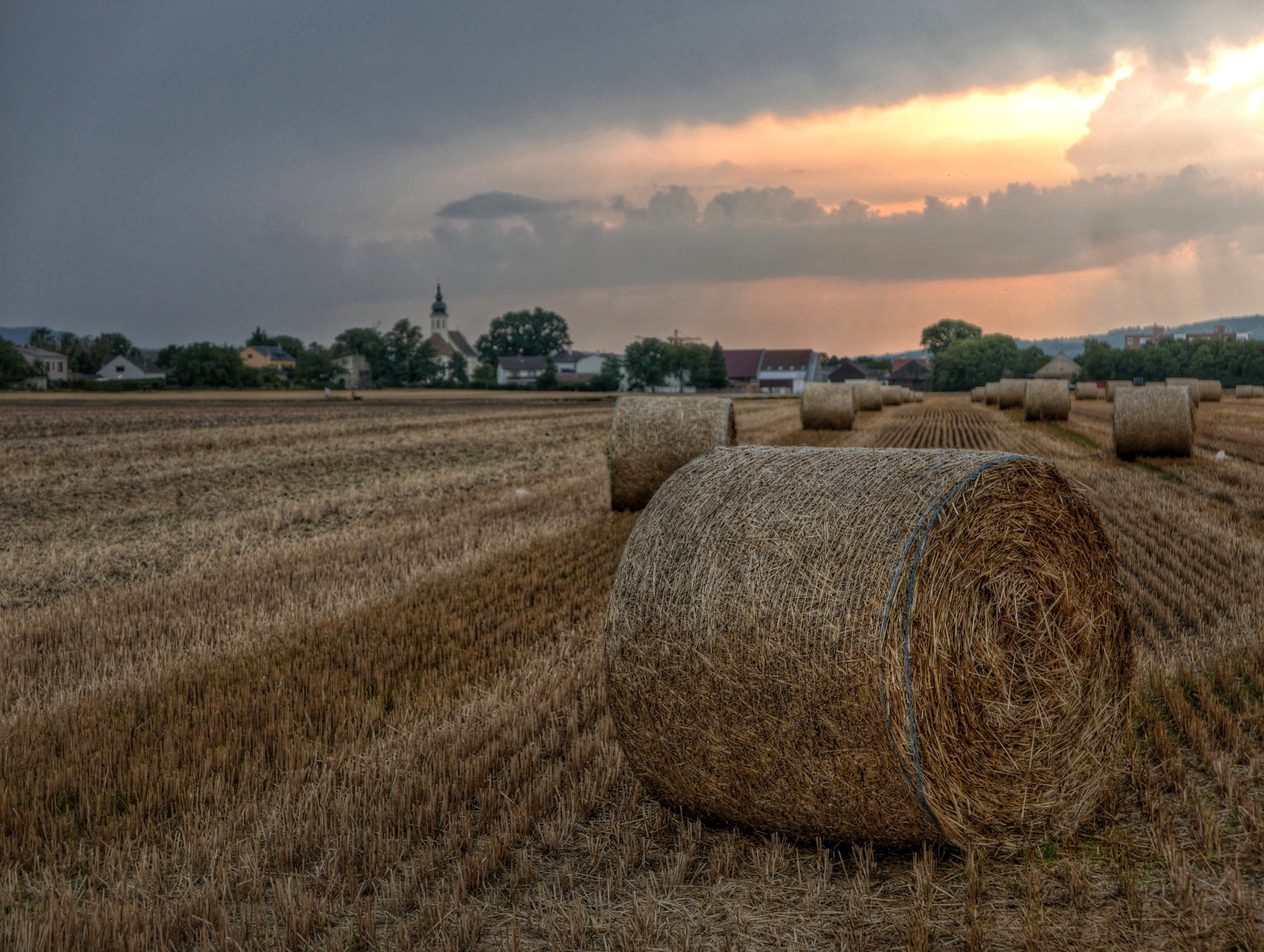 Abendstimmung
