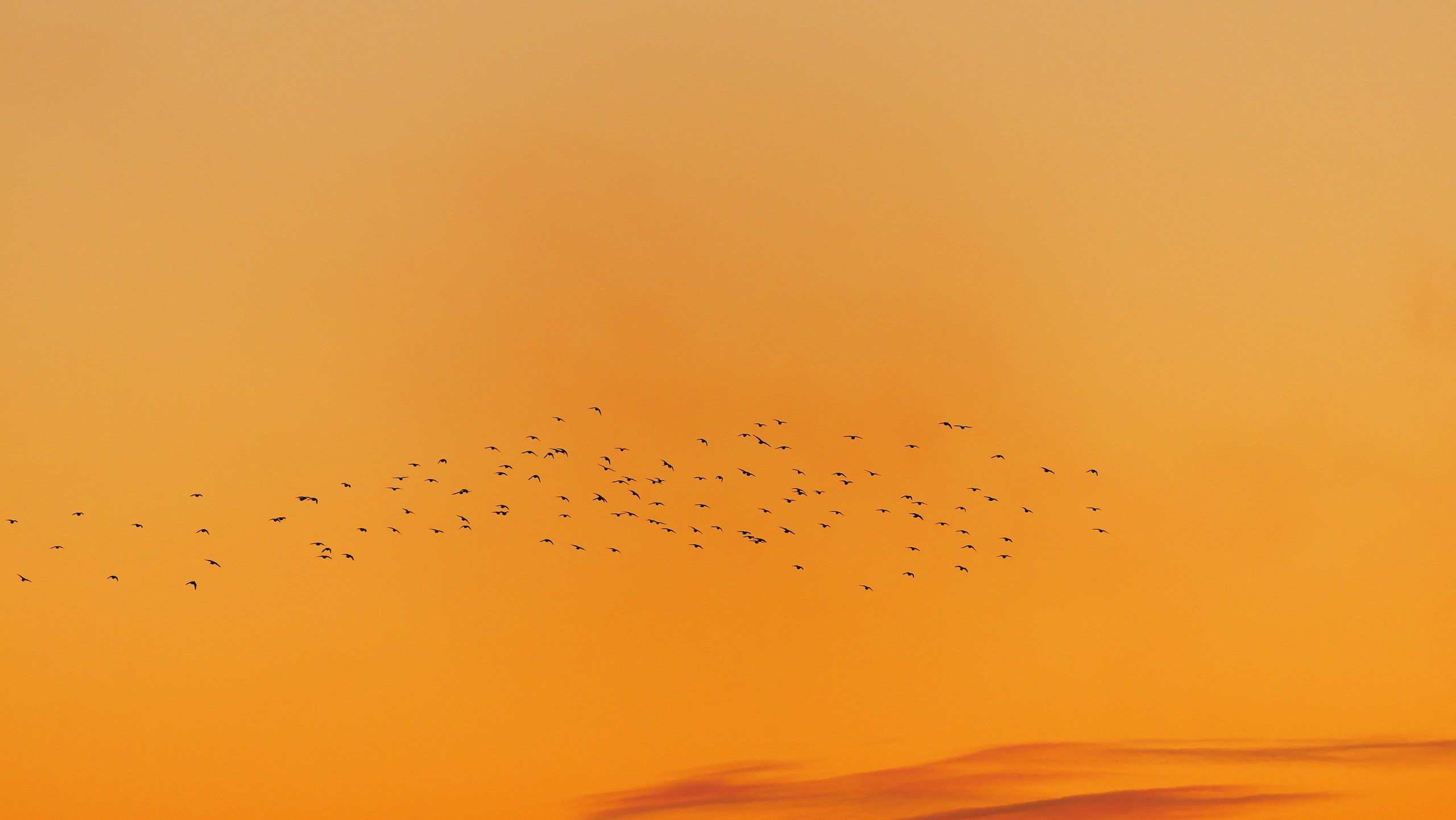 Abflug am Abend