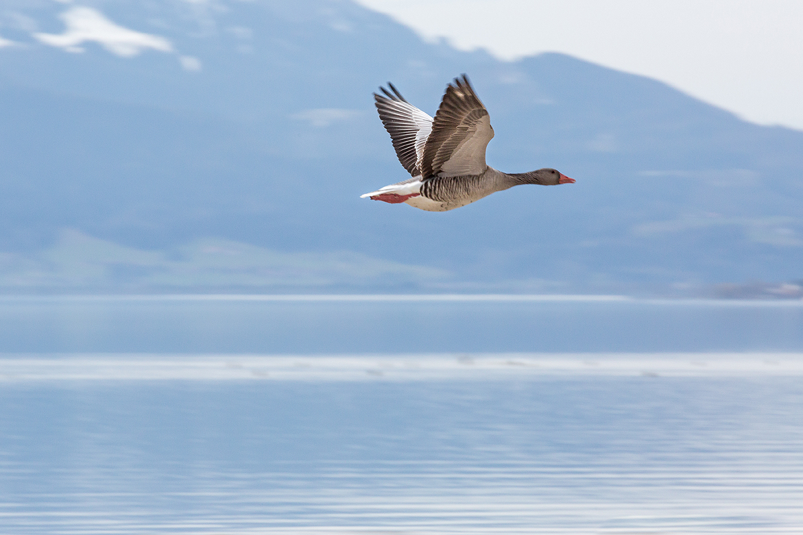 Abflug in den warmen Süden