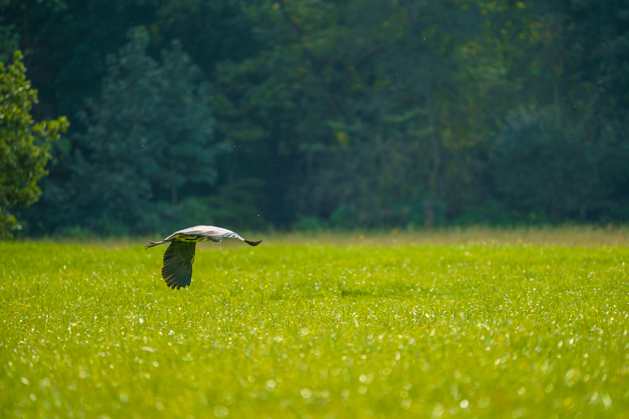 Abflug
