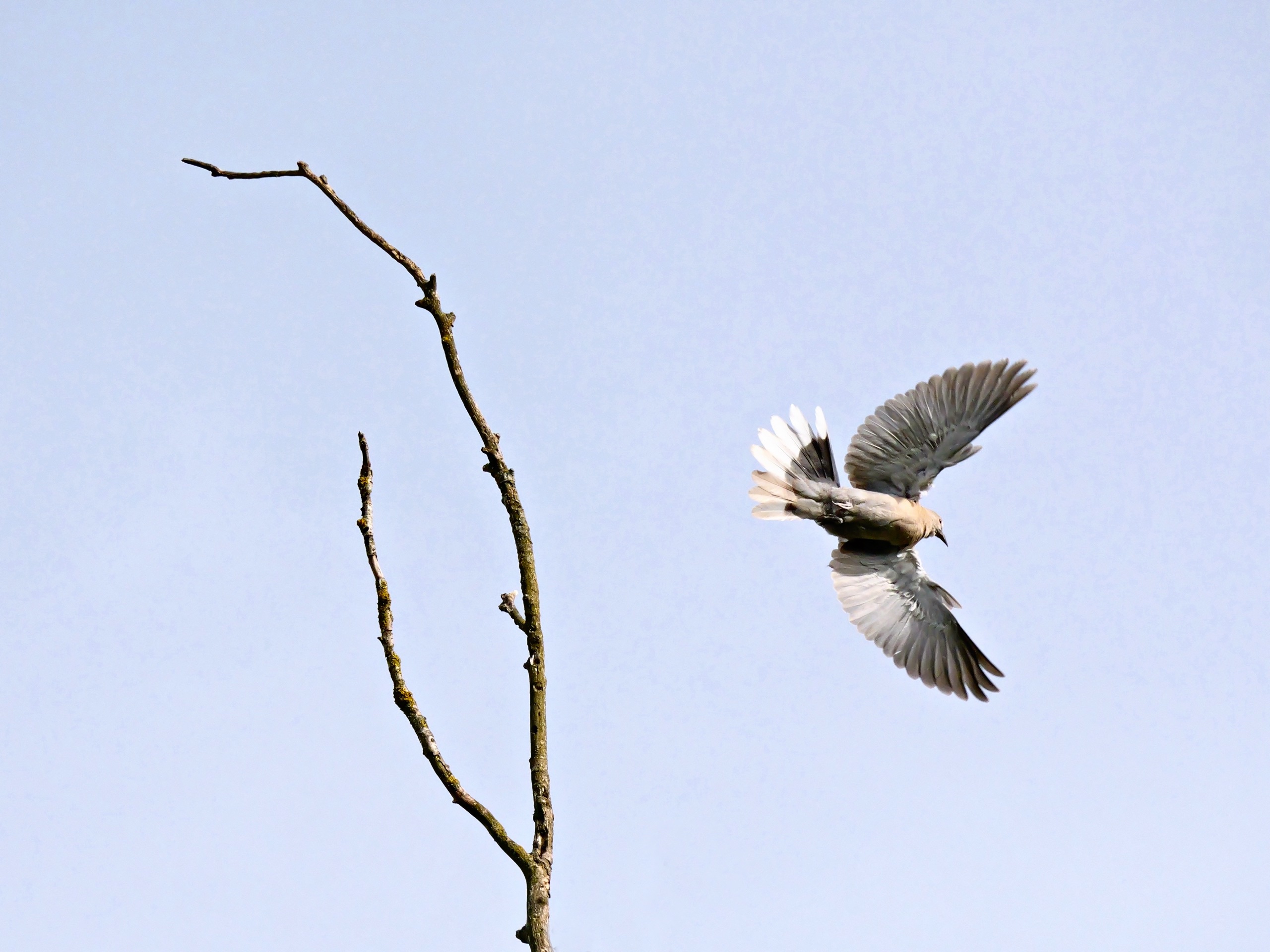 Abflug