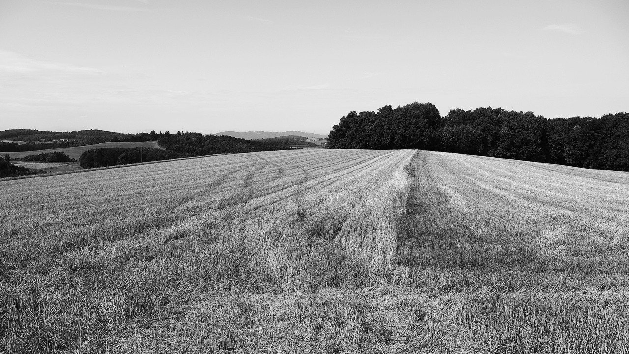 abgeerntet