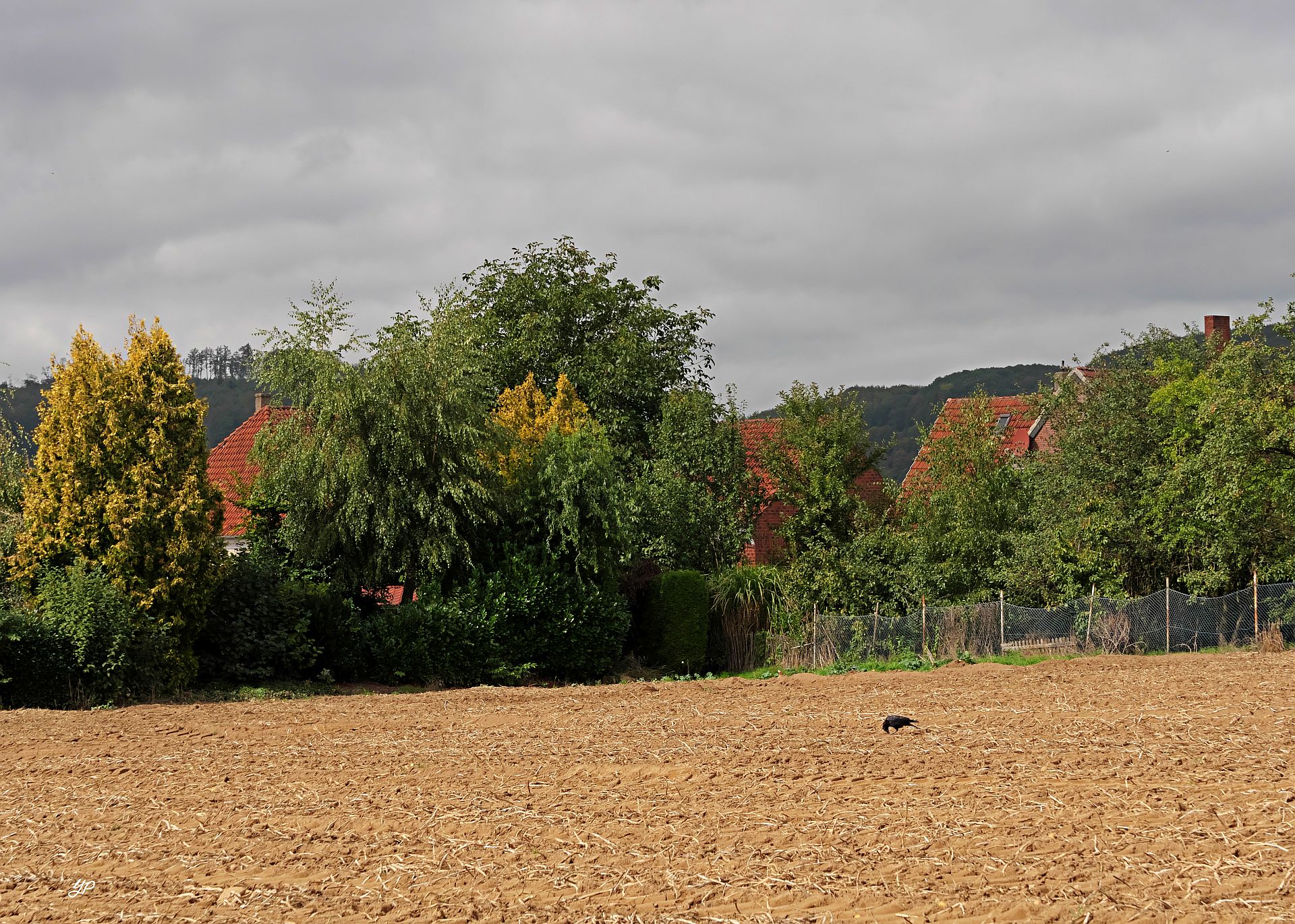 Abgeerntet
