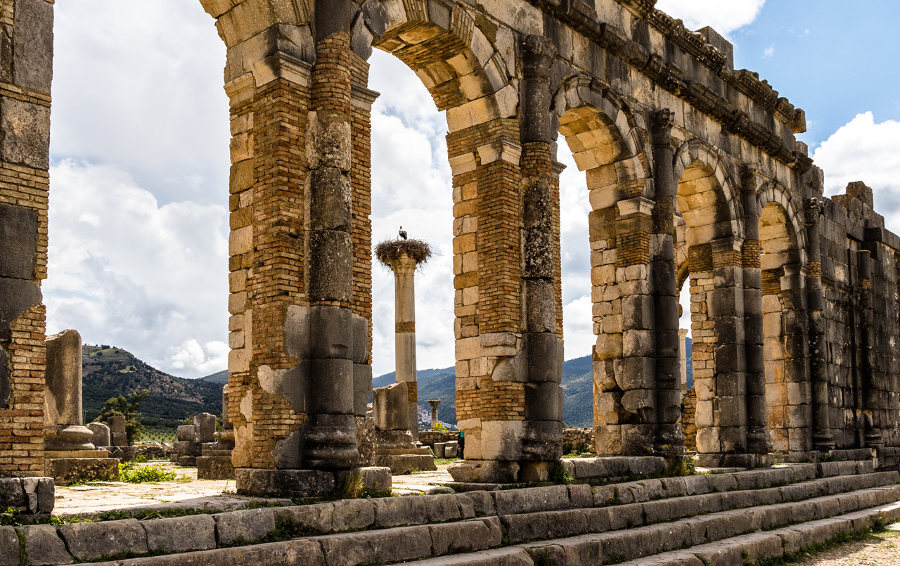 Adebar dpixx.de Forum