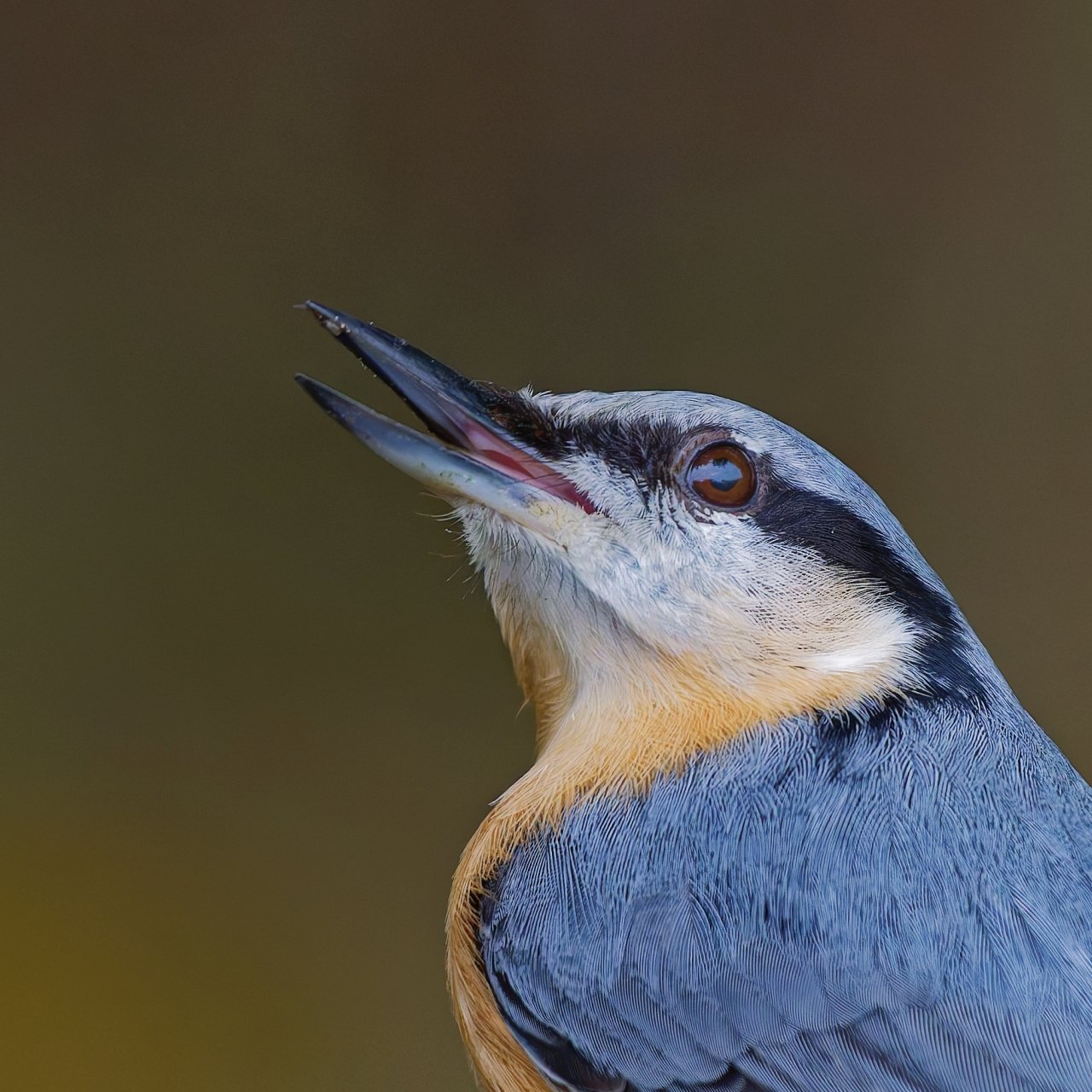 Äh.....mal eben überlegen......