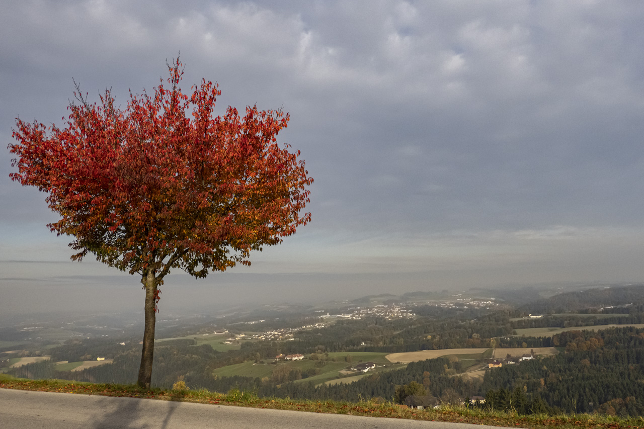 Allerheiligen (Ort in Oberösterreich)