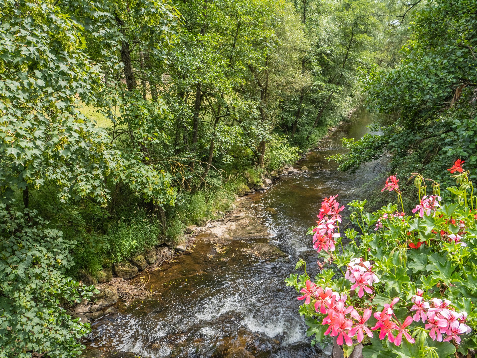 Alles im Fluss