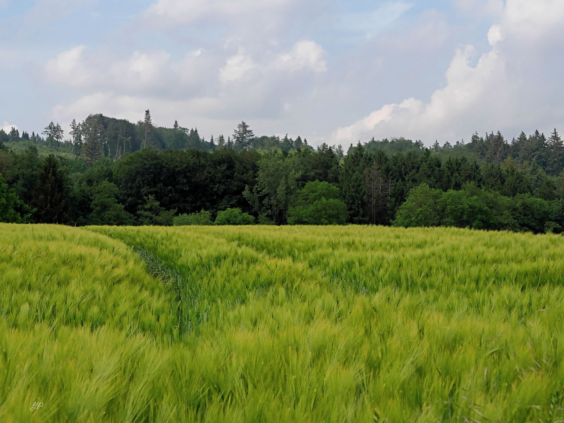 Alles im grünen Bereich