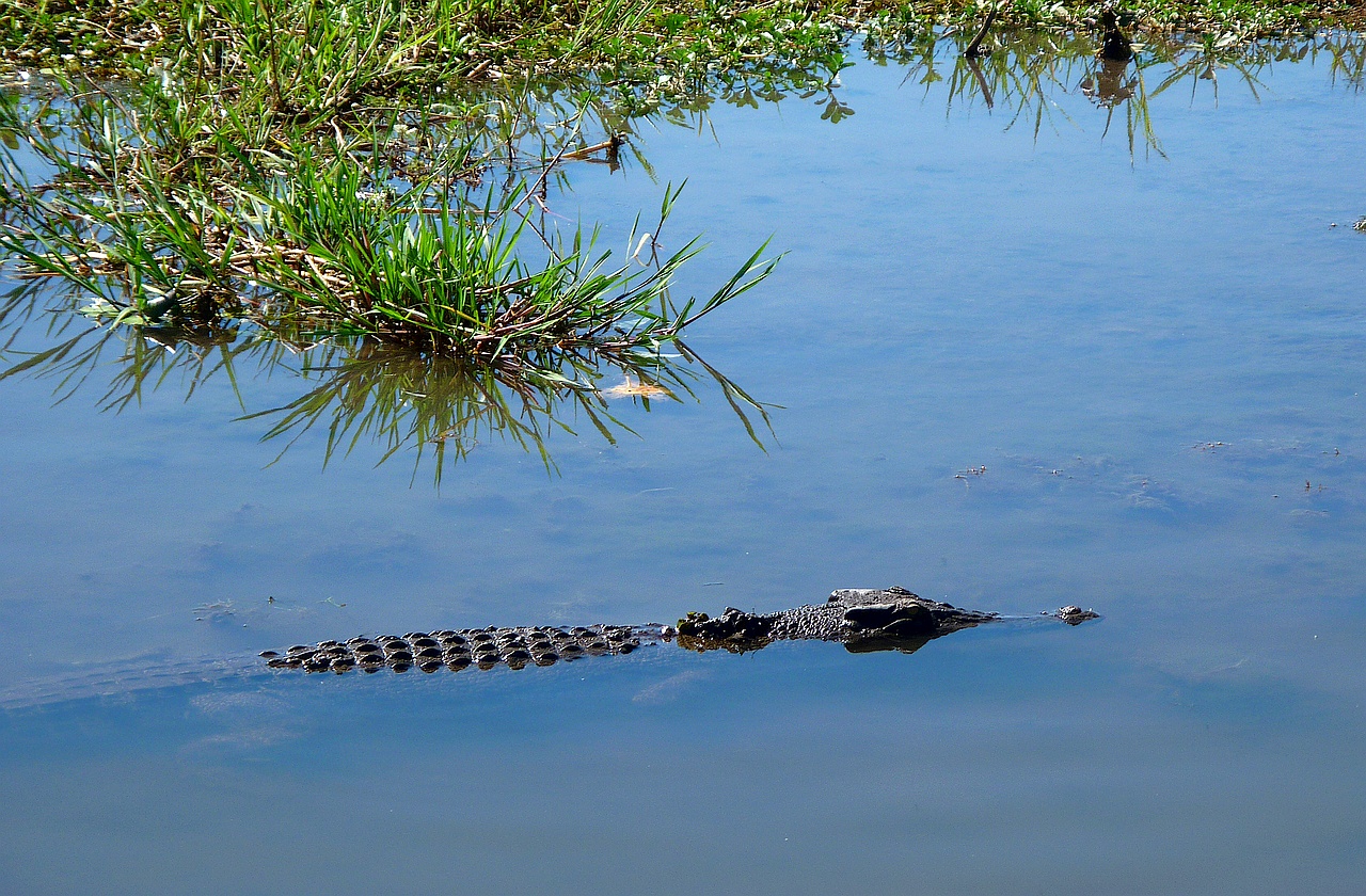 Alligator river Kakadu Nationalpark