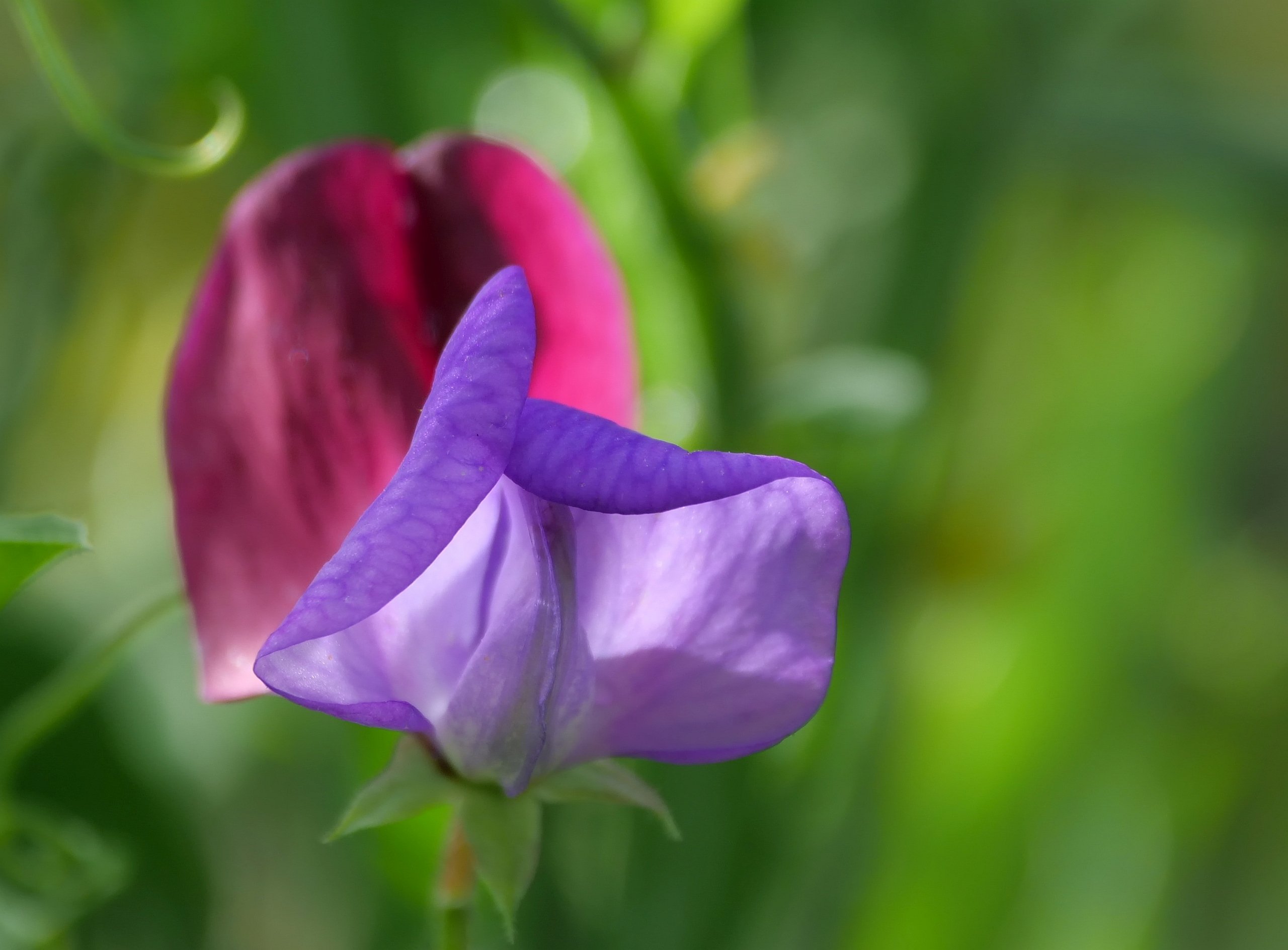 Als der Herbst noch schön war