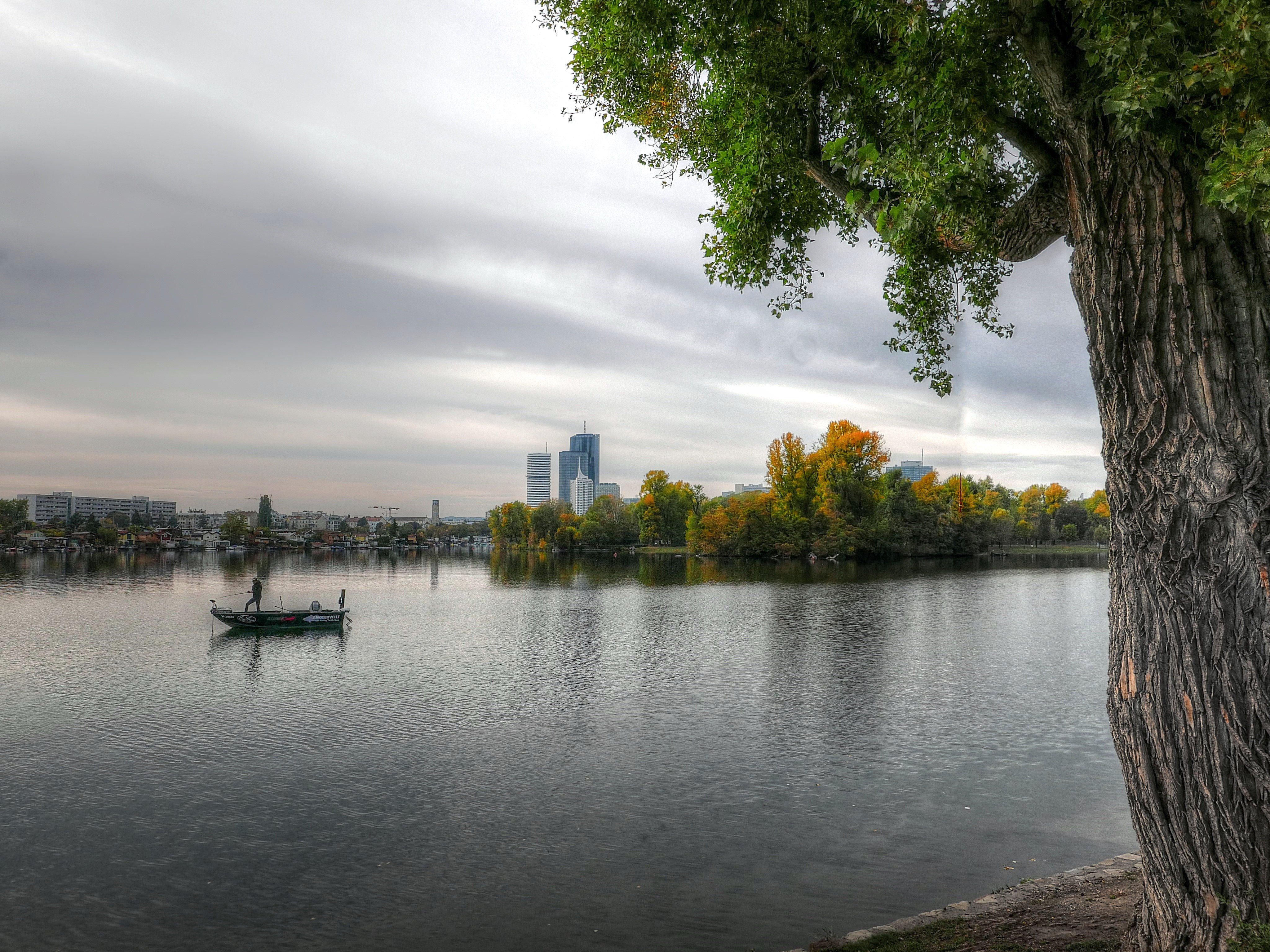 Alte Donau