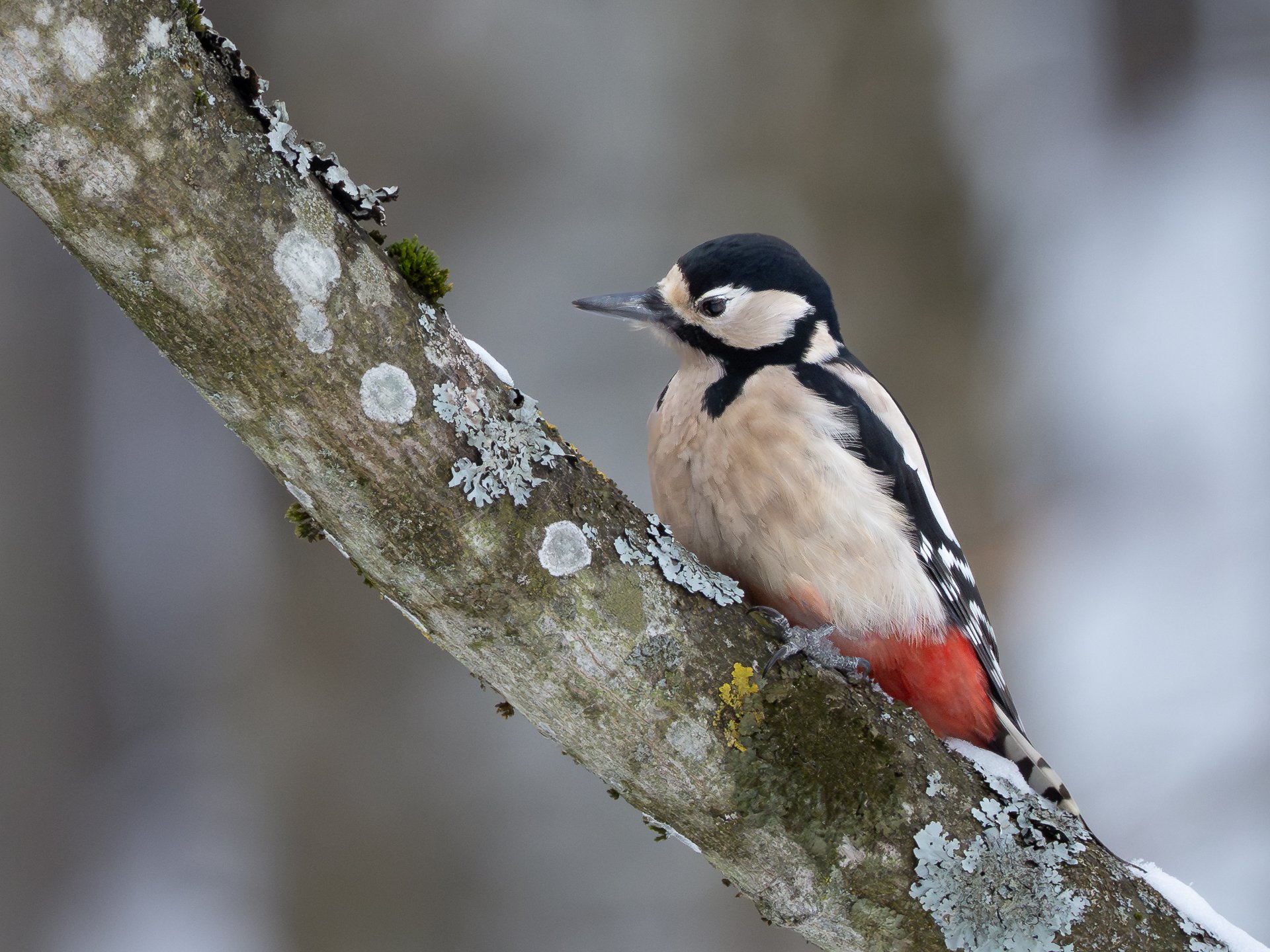 am aufsteigenden Ast