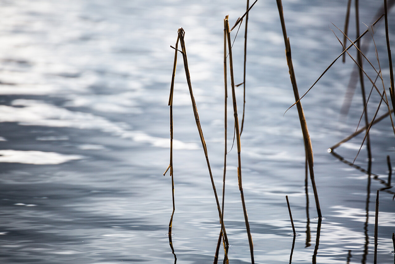 Am Baggerweiher