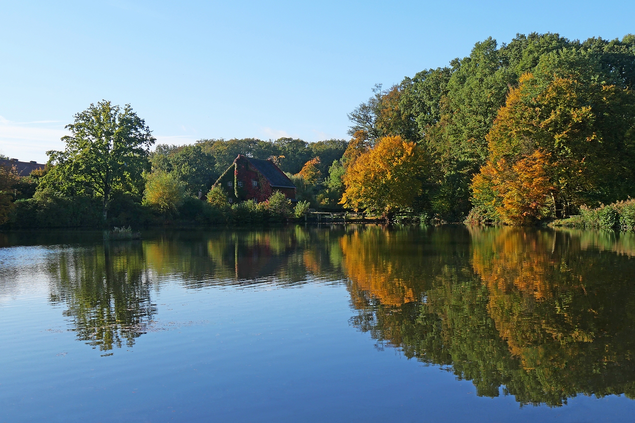 Am Deutener Mühlenteich.jpg