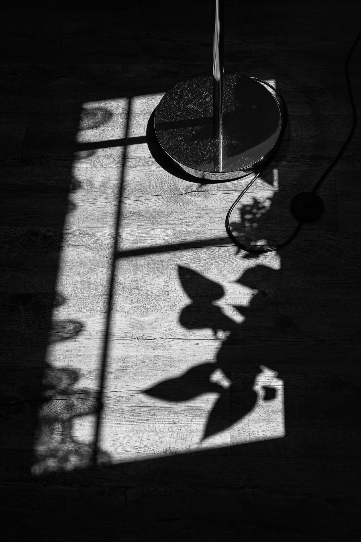 am Fenster.