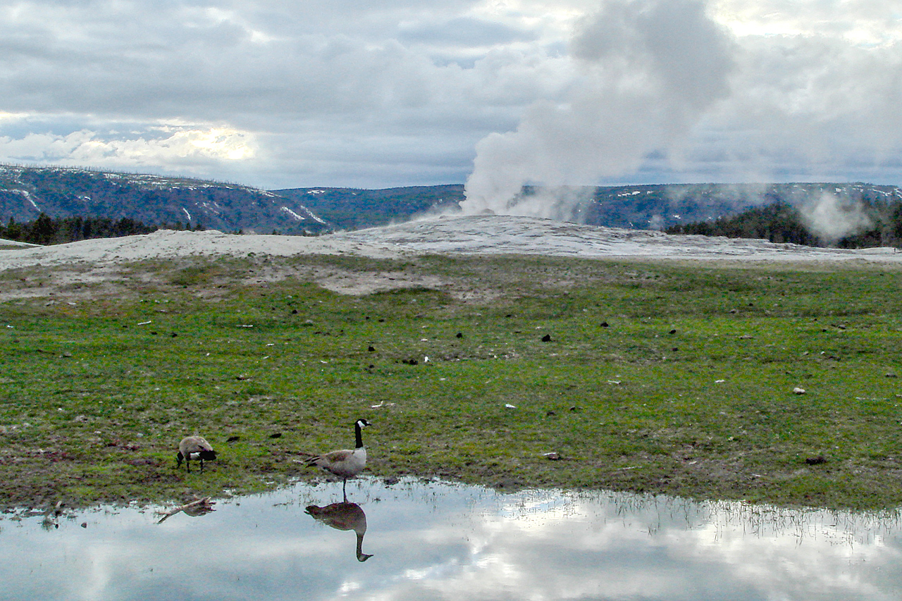 Am Firehole River