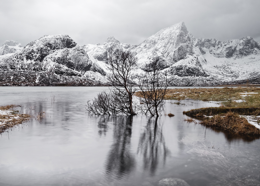 Am Fjord