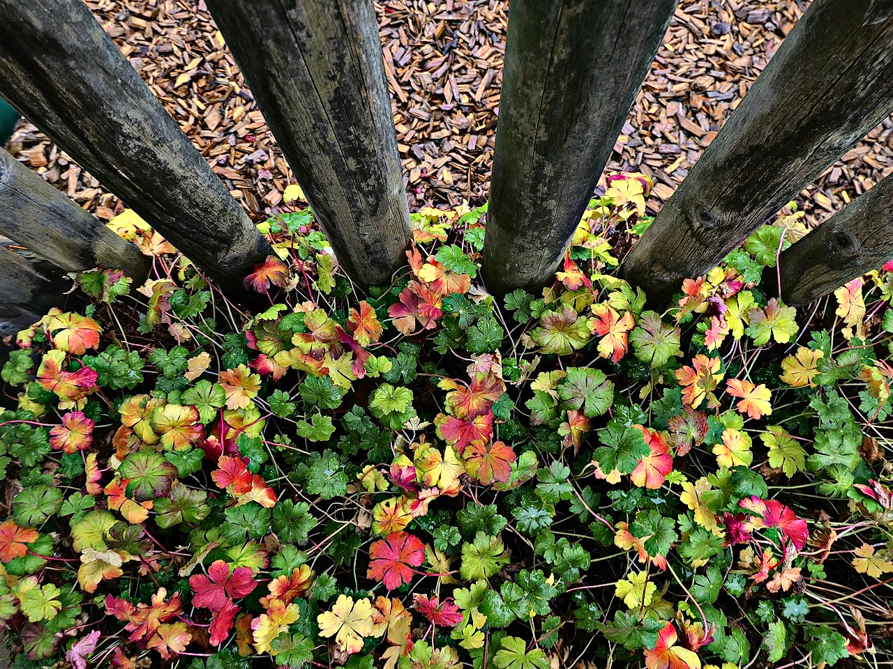 am Gartenzaun